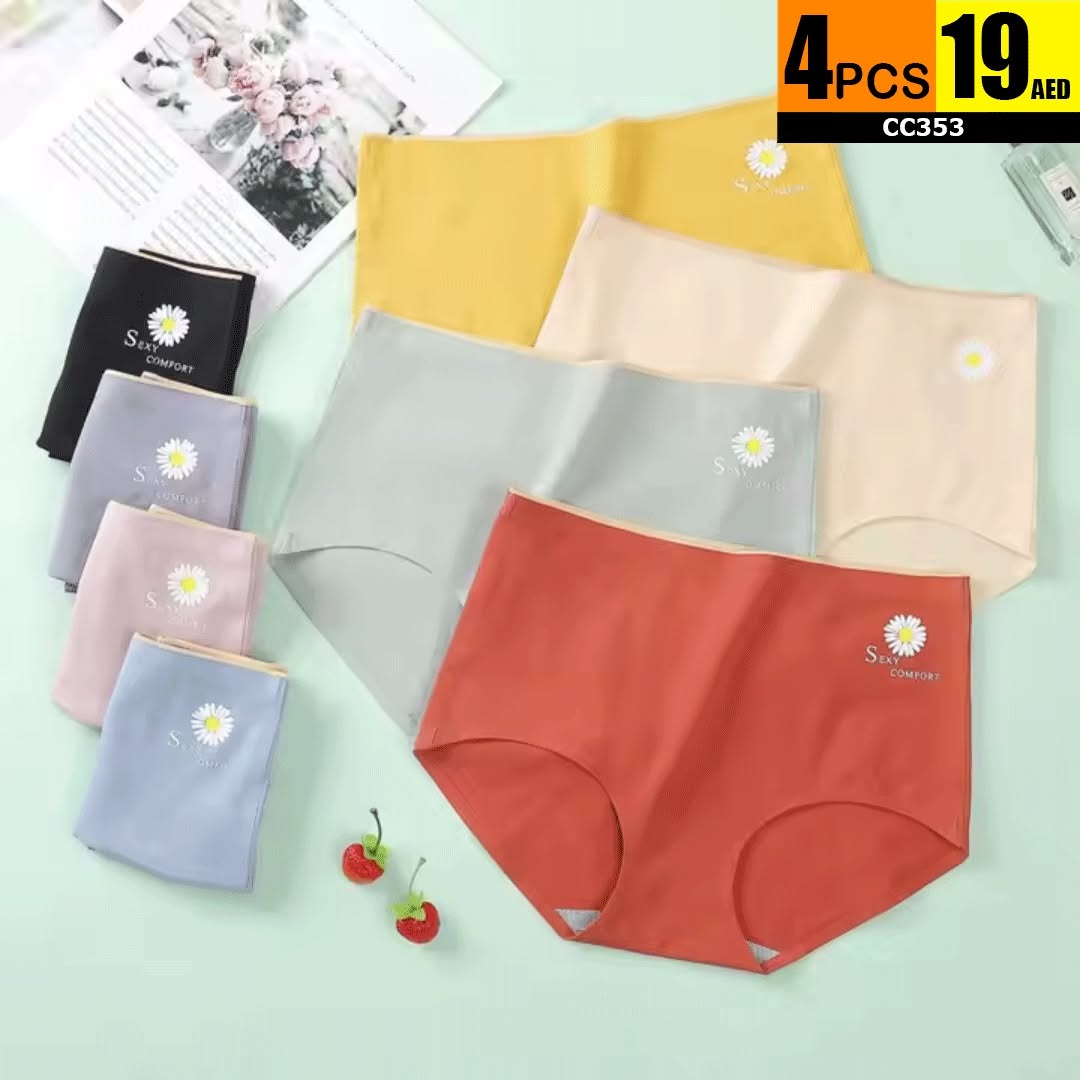 Seamless Women’s Comfort Panty Set (4 PCS) - TSD353