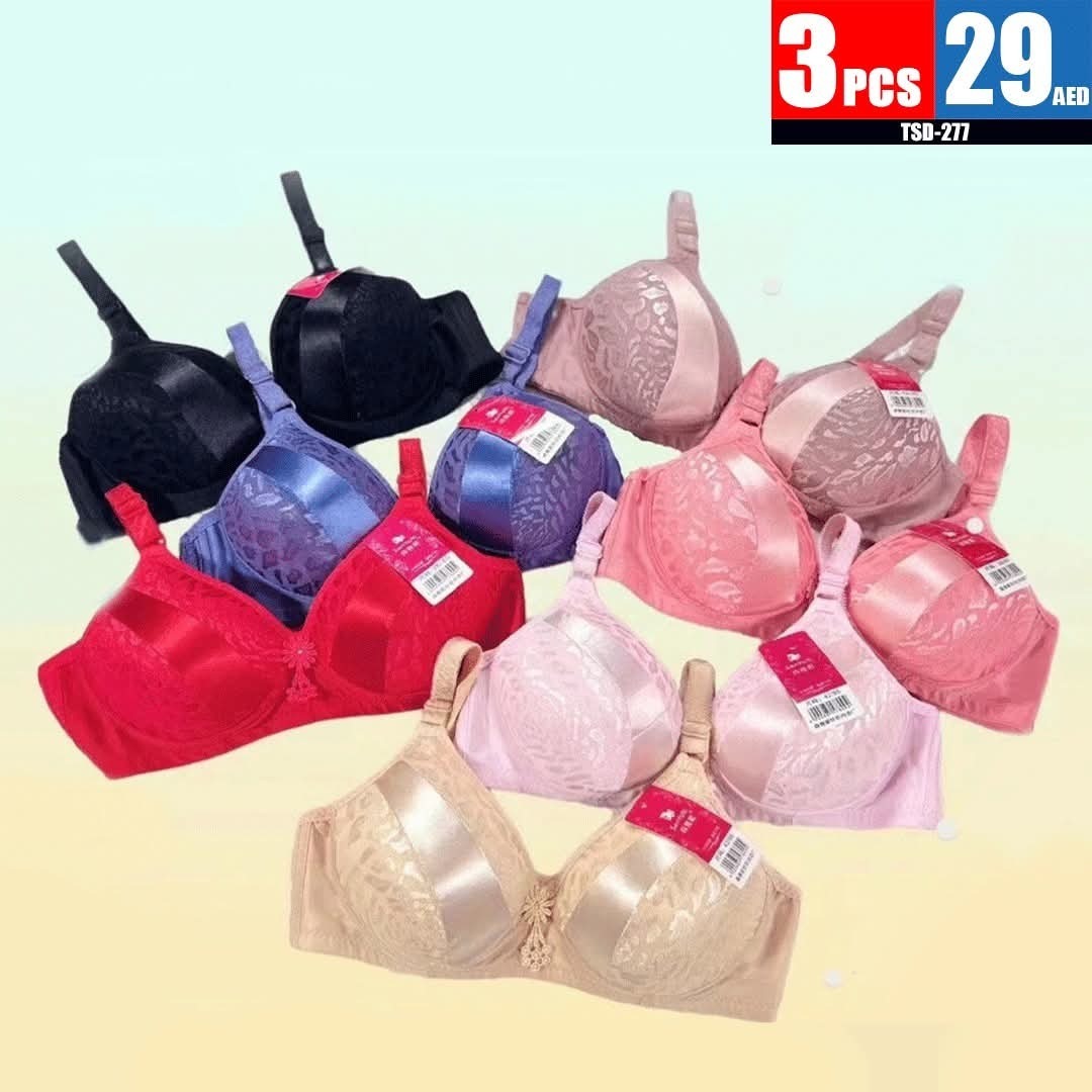 Elegant Lace Bra Set - TSD277