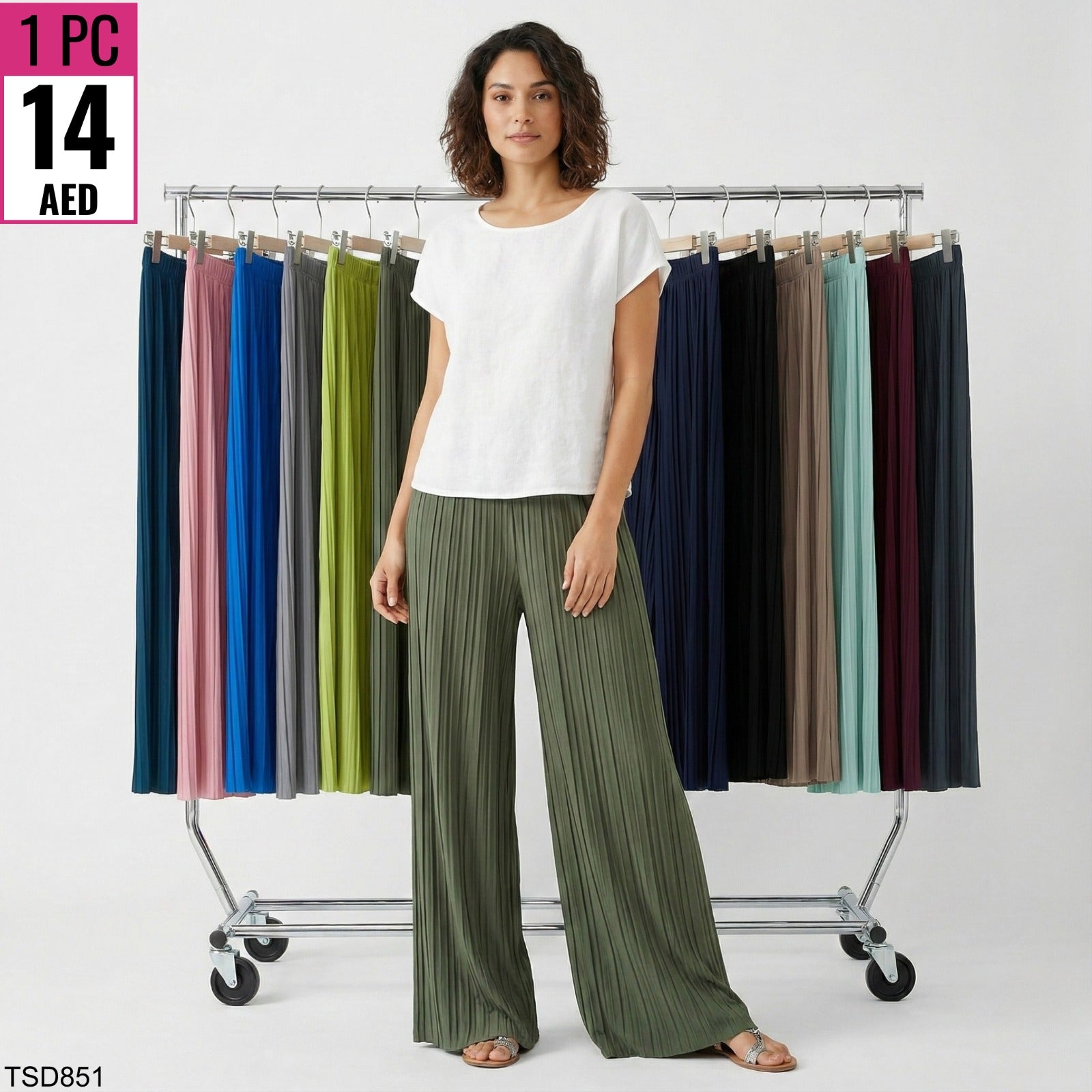 Women’s Pleated Wide-Leg Pants – TSD851